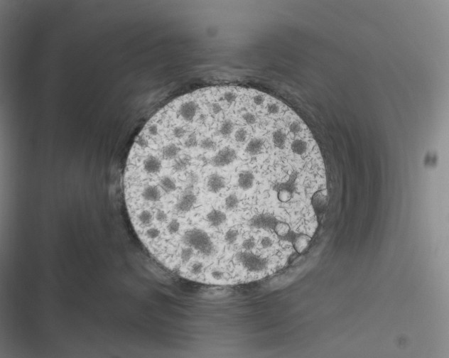 X0000116830624201001151227