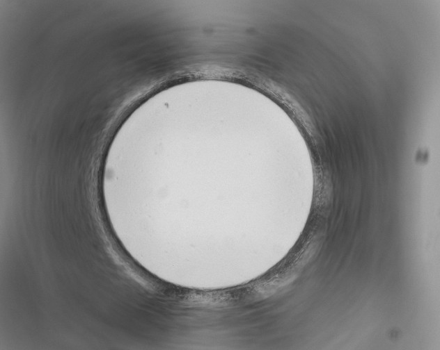 X0000116830625201001151227