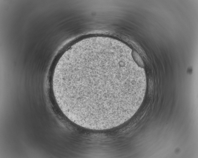 X0000116830628201001151227