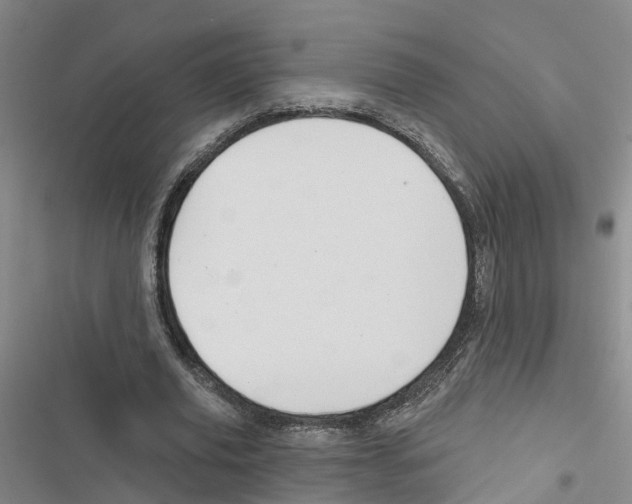 X0000116830629201001151227