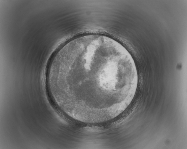 X0000116830630201001151227