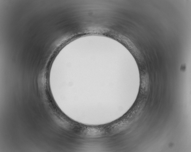 X0000116830632201001151227