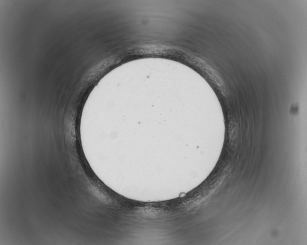 X0000116830633201001151227