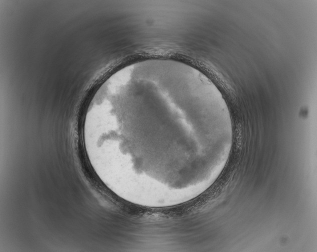 X0000116830634201001151227