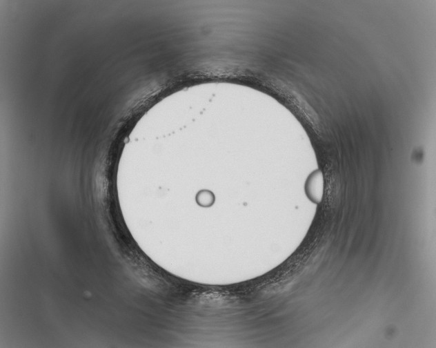 X0000116830635201001151227