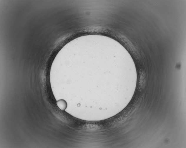 X0000116830636201001151227