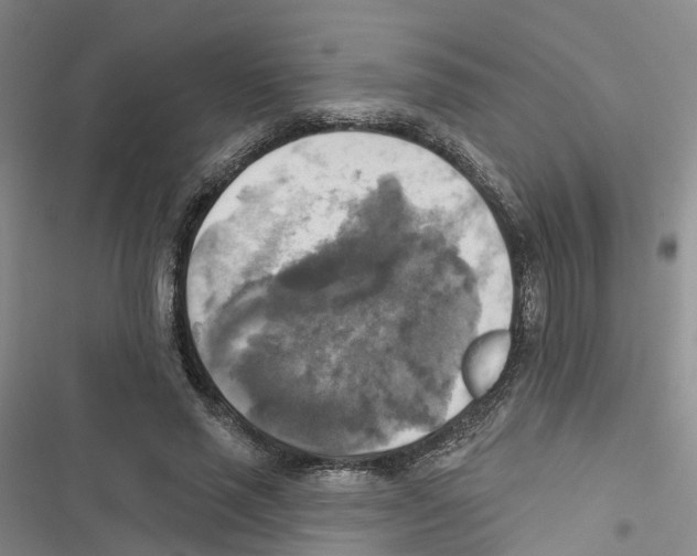 X0000116830637201001151227