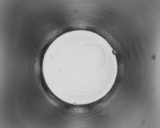 X0000116830638201001151227