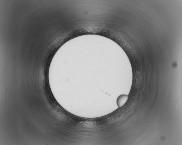 X0000116830639201001151227