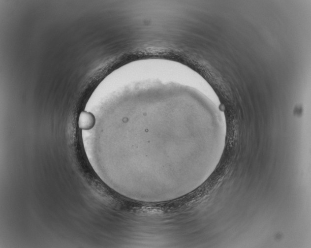 X0000116830640201001151227