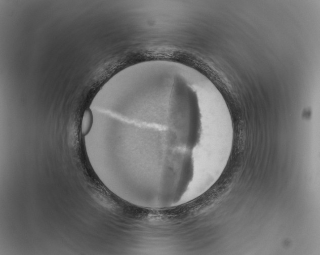 X0000116830641201001151227