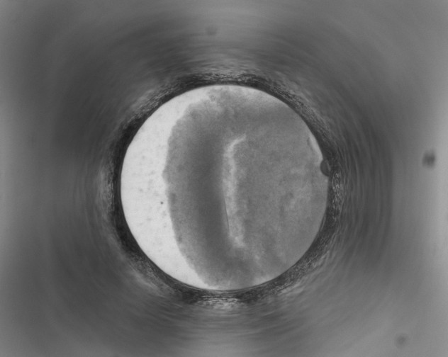 X0000116830642201001151227