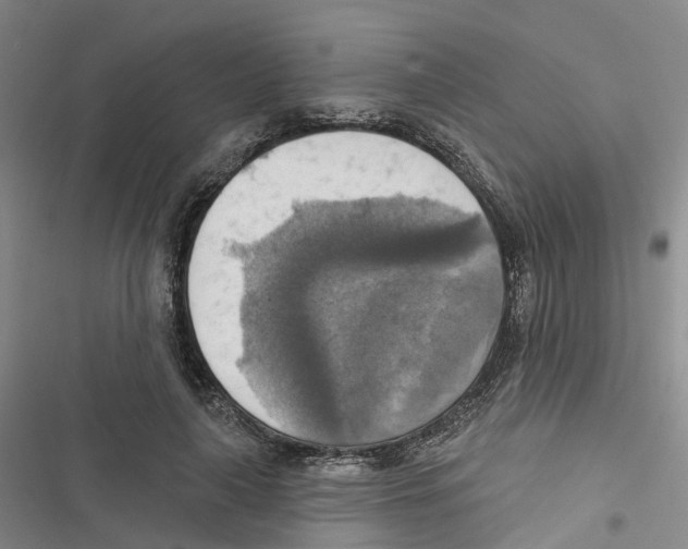 X0000116830643201001151227