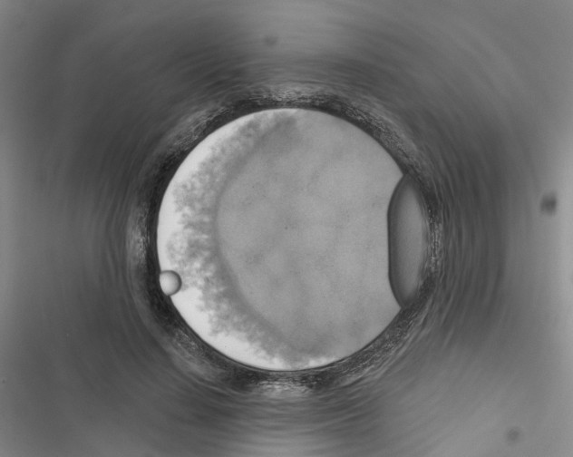 X0000116830644201001151227