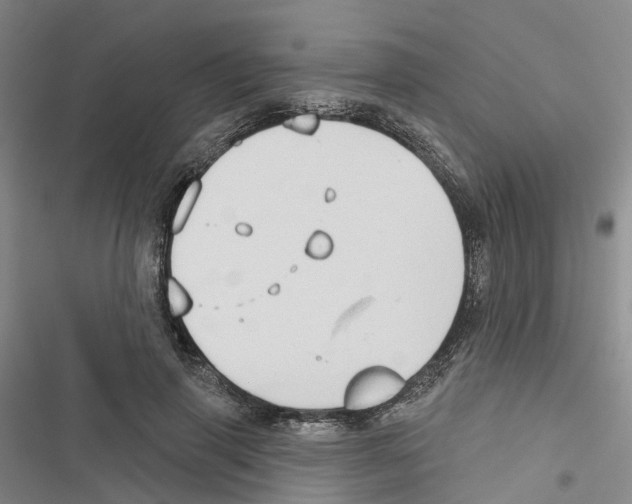 X0000116830645201001151227