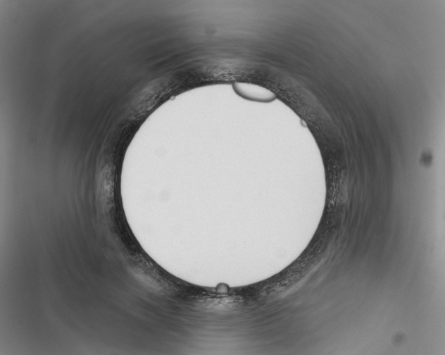 X0000116830646201001151227