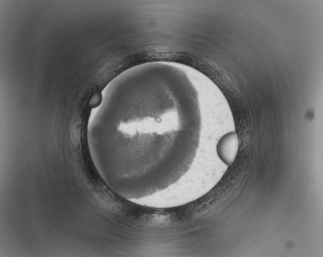 X0000116830647201001151227