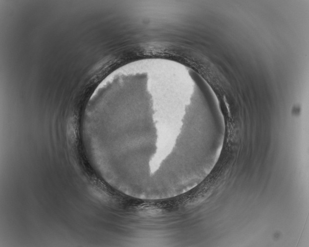 X0000116830648201001151227