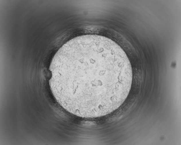 X0000116830649201001151227