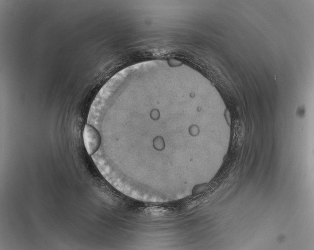 X0000116830650201001151227