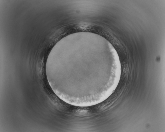 X0000116830651201001151227