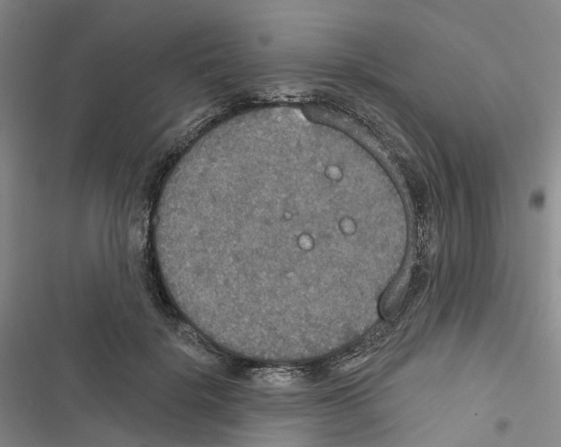 X0000116830652201001151227