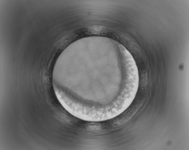 X0000116830653201001151227