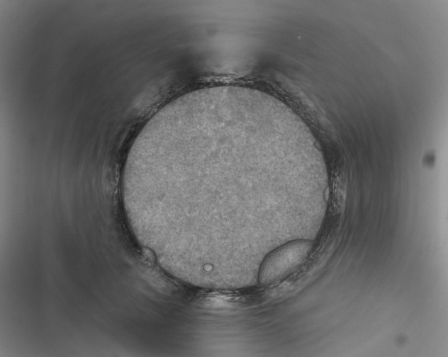 X0000116830657201001151227