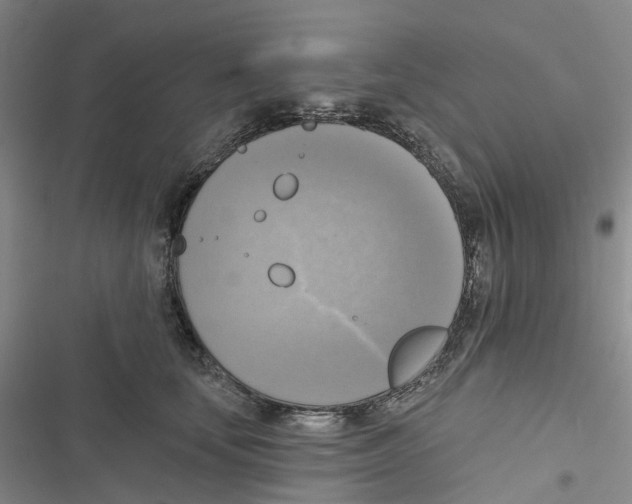 X0000116830659201001151227