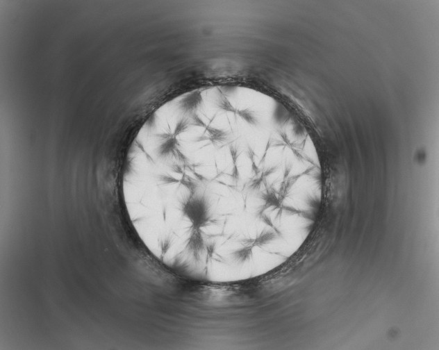 X0000116830662201001151227