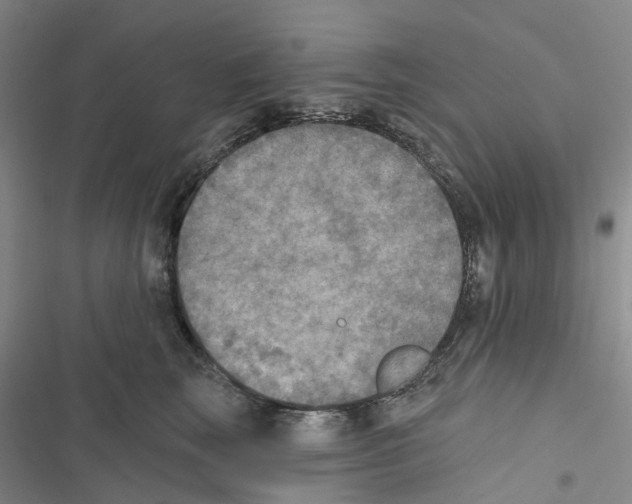 X0000116830663201001151227