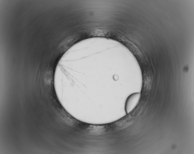 X0000116830665201001151227