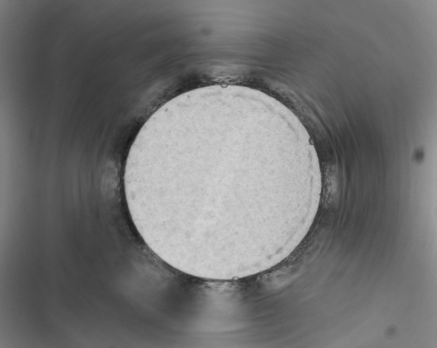 X0000116830667201001151227