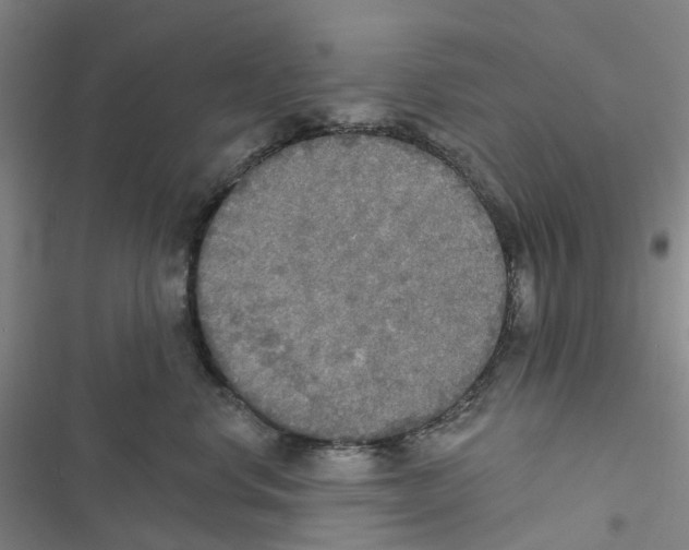 X0000116830668201001151227