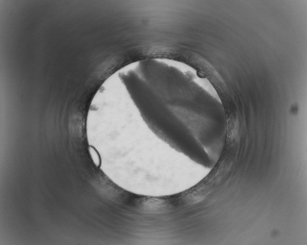 X0000116830669201001151227