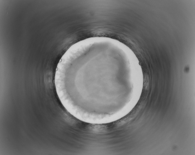 X0000116830670201001151227