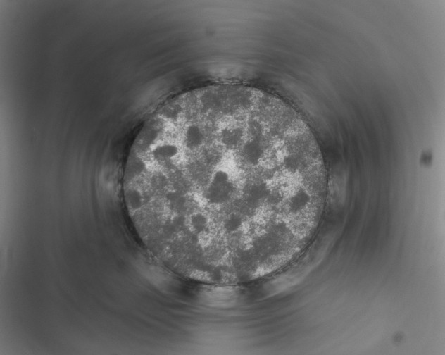 X0000116830671201001151227