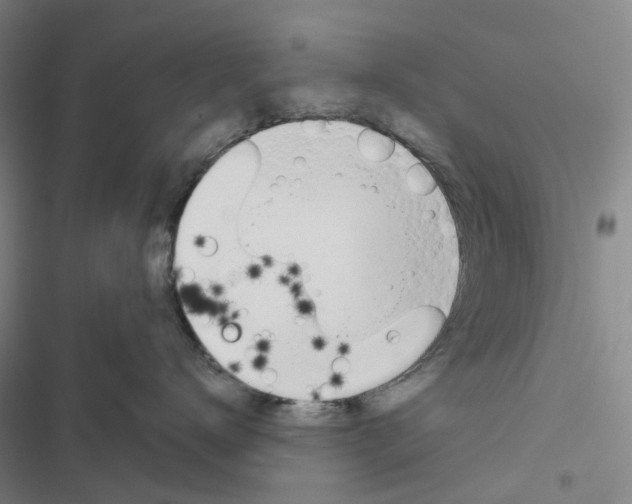 X0000116830672201001151227