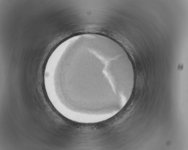 X0000116830673201001151227