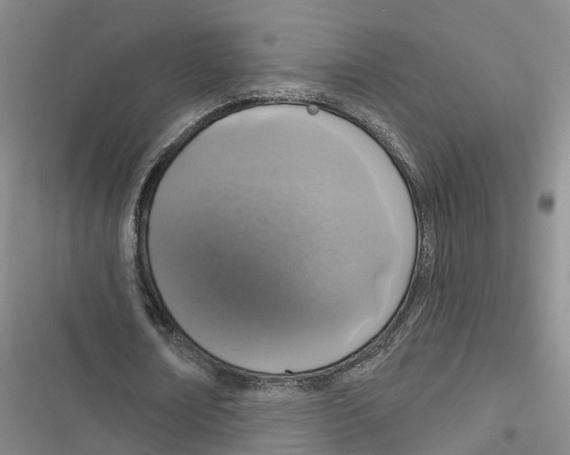 X0000116830674201001151227