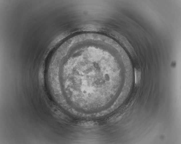 X0000116830675201001151227