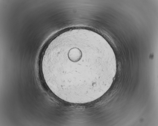 X0000116830676201001151227