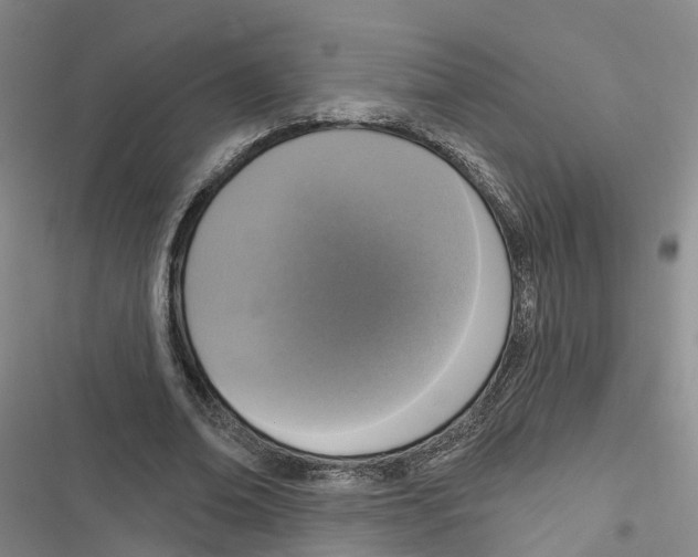 X0000116830678201001151227