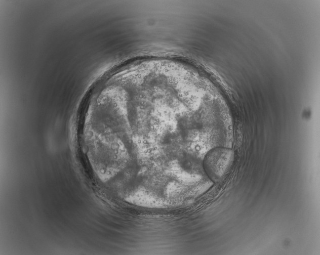 X0000116830679201001151227