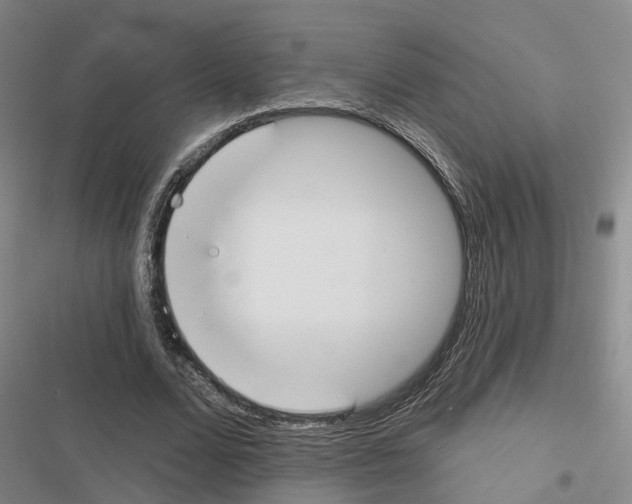 X0000116830680201001151227