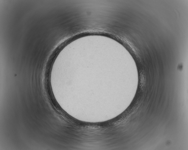 X0000116830684201001151227