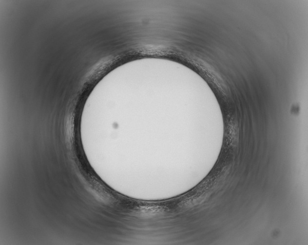 X0000116830686201001151227