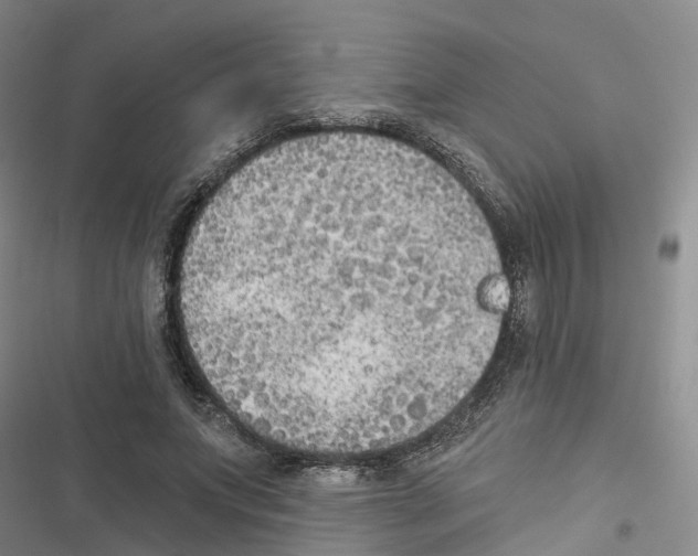 X0000116830687201001151227