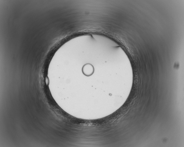 X0000116830688201001151226