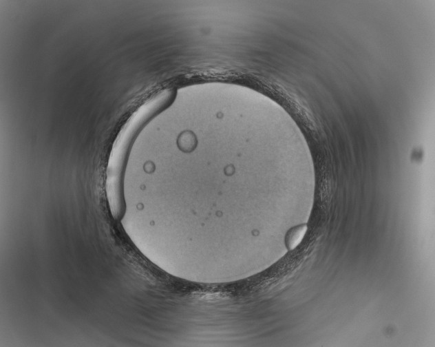 X0000116830689201001151226